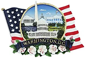 Flag Shaped American Flag, National Mall, Cherry Blossom Refrigerator Magnet- Washington DC Souvenirs