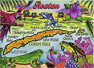 Roatan Caribbean Fridge Collector's Souvenir Magnet 2.5" X 3.5"