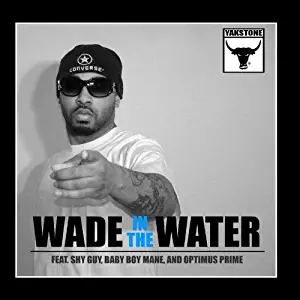 Wade In The Water (feat. Shy Guy, Baby Boy & Optimus Prime) - Single