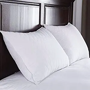 Pillows for Sleeping 2 Pack, Serta Queen Bed Pillows Set, Home Soft Best Comfort sleep pillow set, Bonus of a Prestee Elegant Double-Stitched Pillowcase