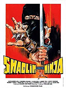 Mafia vs. Ninja Poster Movie 11 x 17 Inches - 28cm x 44cm Alexander Lou Charlema Hsu Silver How Lung Tang Hsieh Wang Chi Sang Wong Silvio Azolini