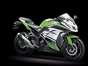 Black Green White Complete Fairing Bodywork Painted ABS plastic Injection Molding Kit for 2013-2016 13-16 Kawasaki Ninja 300 EX300R EX 300R EX-300R EX300A EX300B SE 2014 2015