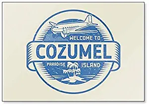 Welcome to Cozumel, Paradise Island Fridge Magnet