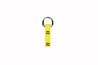 3M DBI-SALA Fall Protection For Tools, 1500003,Attachment Point with Single D-Ring, 05" X 225", On One End For Tools Up To 2lb.s, 10-Pack