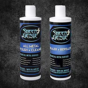 Sheen Genie Basic Metal Polish Cleaner + Sealer Kit