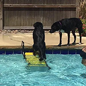 WaterDog Adventure Gear Dog Ladder for Swimming Pool