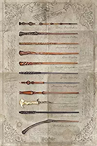 HARRY POTTER - Movie Poster Print (The Wand Chooses The Wizard) (Size: 24" x 36")