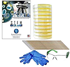 Premium Bacteria Science Fair Project Kit. Safest Bacteria Kit For Students. Includes Gloves and Safety Glasses. Learn About Microbiology. Complimentary Project Guide eBook Available.