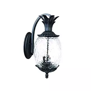 Acclaim 7512BK Lanai Collection 3-Light Wall Mount Outdoor Light Fixture, Matte Black