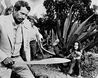 Warren Oates and Isela Vega in Bring Me the Head of Alfredo Garcia holding machete 16x20 Poster