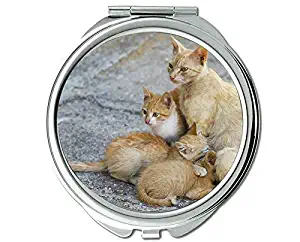 Mirror,makeup mirror,Baby Animal Kitten Pet Cat 341 mirror for Men/Women,1 X 2X Magnifying