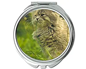 Pocket Mirror,Animal cat mirror for Men/Women,1 X 2X Magnifying