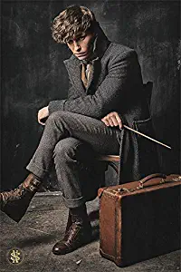 Fantastic Beasts The Crimes Of Grindelwald Poster, Multi-Colour, 61 x 91.5cm