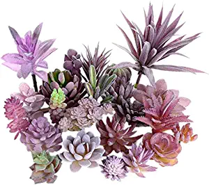 Veronica Key Assorted Artificial Plastic Succulent Plants Flower Arrangement for Home Garden Office Desk Decoration Pack of 10 (Purple)