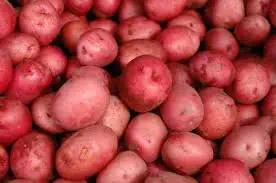 POTATOES RED FRESH PRODUCE 5 LBS